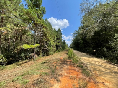 25 Acres of Land in Hartford Alabama - image 1
