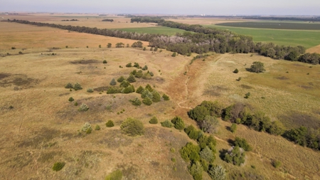  - image 4