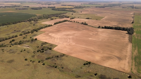  - image 10