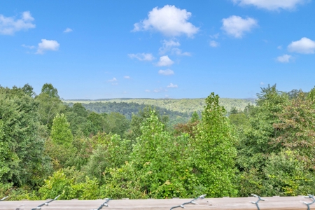 Country Home for Sale in Lewis County, Tennessee - image 33