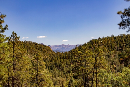 Southern Colorado Cabin on 175 acres of Prime Hunting Land - image 14