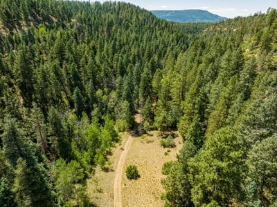 Southern Colorado Cabin on 175 acres of Prime Hunting Land - image 16