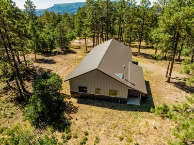 Southern Colorado Cabin on 175 acres of Prime Hunting Land - image 3