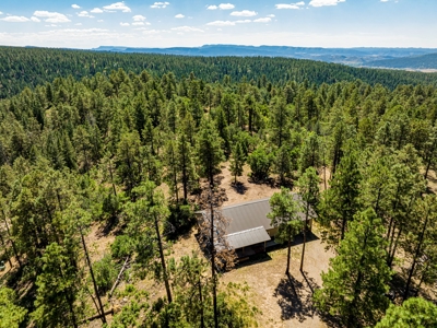 Southern Colorado Cabin on 175 acres of Prime Hunting Land - image 1