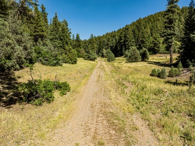 Southern Colorado Cabin on 175 acres of Prime Hunting Land - image 17