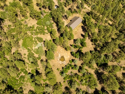 Southern Colorado Cabin on 175 acres of Prime Hunting Land - image 11