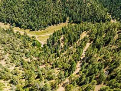 Southern Colorado Cabin on 175 acres of Prime Hunting Land - image 12