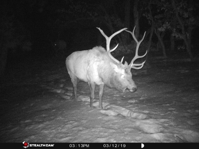 Southern Colorado Cabin on 175 acres of Prime Hunting Land - image 37