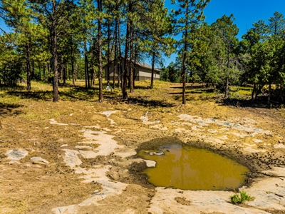 Southern Colorado Cabin on 175 acres of Prime Hunting Land - image 10