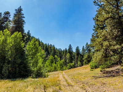 Southern Colorado Cabin on 175 acres of Prime Hunting Land - image 15