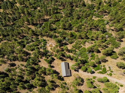 Southern Colorado Cabin on 175 acres of Prime Hunting Land - image 7