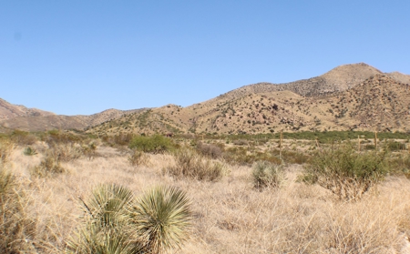 Spectacular Desert Property - image 19