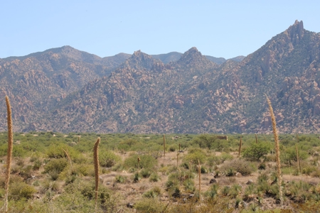 Spectacular Desert Property - image 6