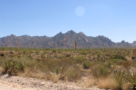 Spectacular Desert Property - image 13