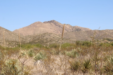 Spectacular Desert Property - image 10