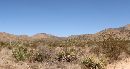 Spectacular Desert Property - image 22