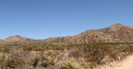 Spectacular Desert Property - image 23