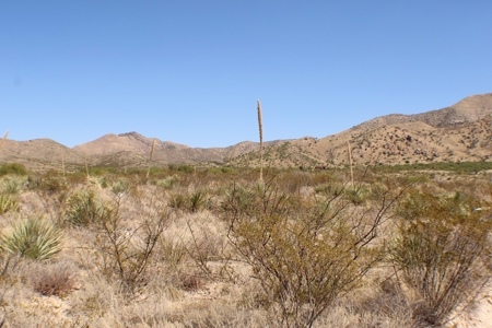 Spectacular Desert Property - image 24