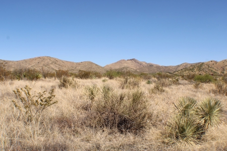 Spectacular Desert Property - image 18