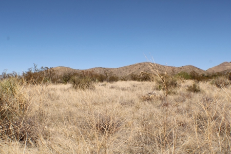 Spectacular Desert Property - image 20