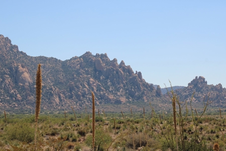 Spectacular Desert Property - image 11