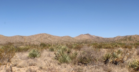 Spectacular Desert Property - image 21