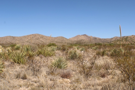 Spectacular Desert Property - image 17