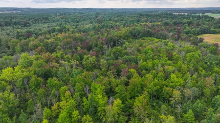 Acreage For Sale in Waupaca Co - image 15