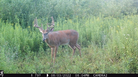 Acreage For Sale in Waupaca Co - image 22