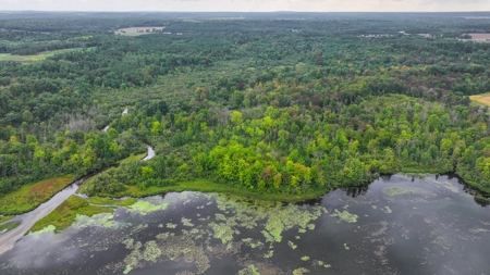 Acreage For Sale in Waupaca Co - image 2
