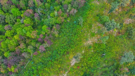 Acreage For Sale in Waupaca Co - image 12