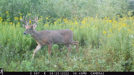 Acreage For Sale in Waupaca Co - image 25