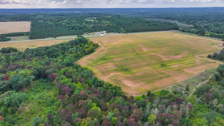 Acreage For Sale in Waupaca Co - image 11