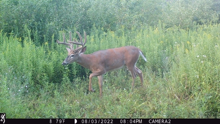 Acreage For Sale in Waupaca Co - image 24