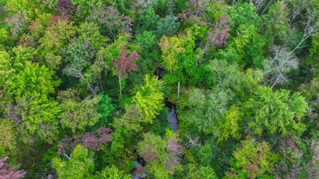 Acreage For Sale in Waupaca Co - image 13