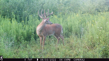 Acreage For Sale in Waupaca Co - image 23