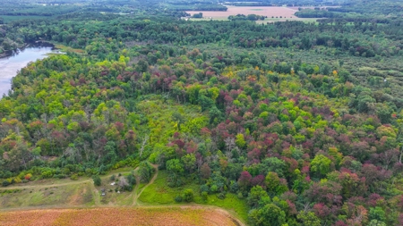 Acreage For Sale in Waupaca Co - image 3