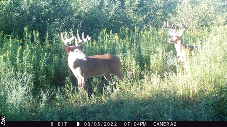 Acreage For Sale in Waupaca Co - image 21