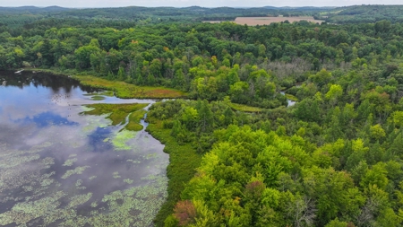 Acreage For Sale in Waupaca Co - image 16