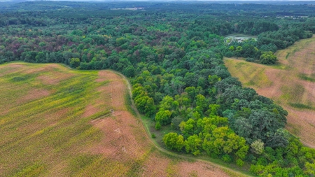 Acreage For Sale in Waupaca Co - image 5