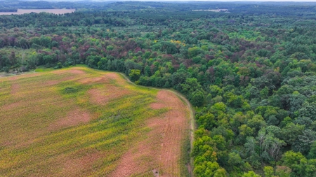 Acreage For Sale in Waupaca Co - image 4