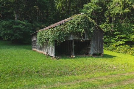 Secluded Mountain Retreat for Sale in Stuart VA - image 3