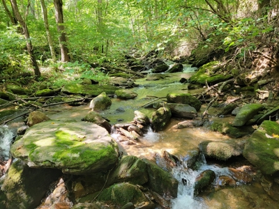 Secluded Mountain Retreat for Sale in Stuart VA - image 31