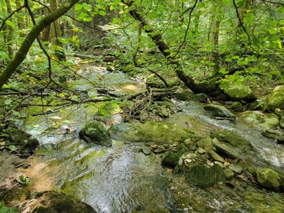 Secluded Mountain Retreat for Sale in Stuart VA - image 32