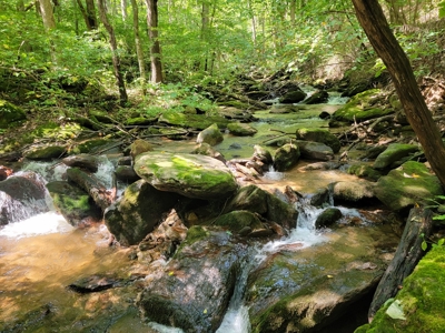 Secluded Mountain Retreat for Sale in Stuart VA - image 33