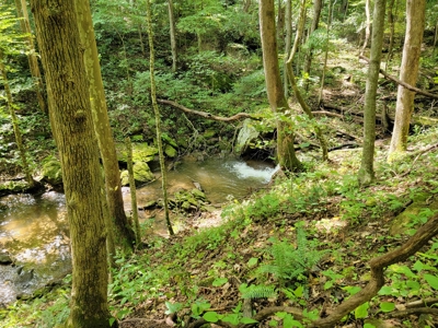 Secluded Mountain Retreat for Sale in Stuart VA - image 30