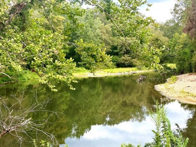 Contemporary Home & Land with Bogue Chitto River Frontage - image 30