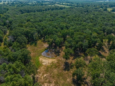 Custom Home On Acreage With Large Pond & Hunting NE TX - image 8