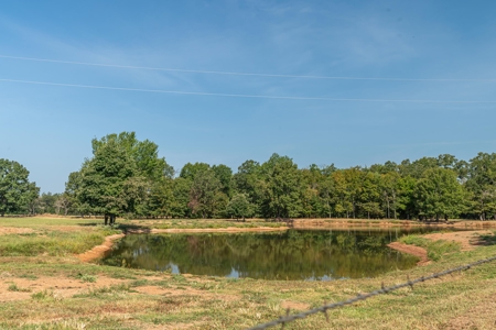 Custom Home On Acreage With Large Pond & Hunting NE TX - image 39