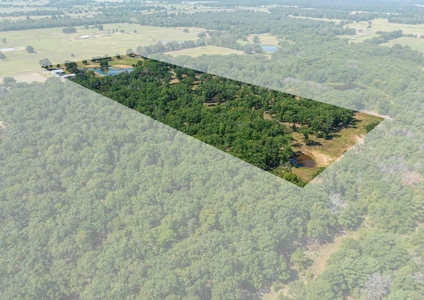 Custom Home On Acreage With Large Pond & Hunting NE TX - image 6